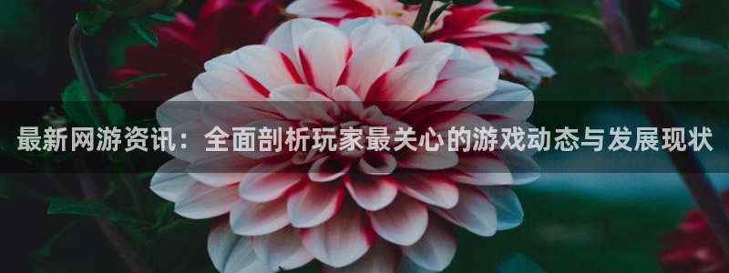 高德娱乐平台登陆