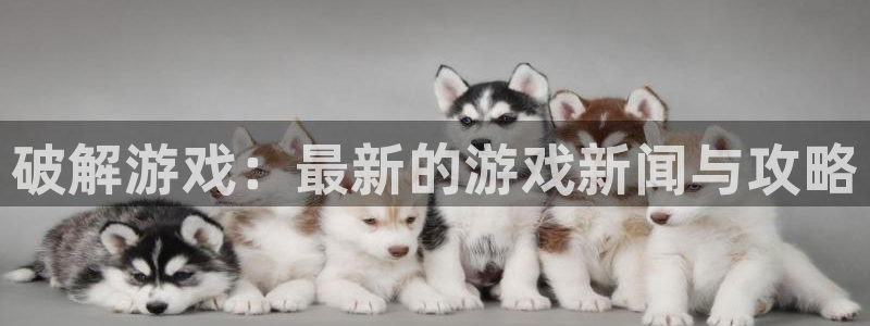 高德娱乐注册地址：破解游戏：最新的游戏新闻与攻略
