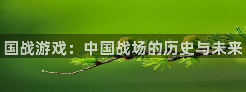 高德娱乐注册网站：国战游戏：中国战场的历史与未来
