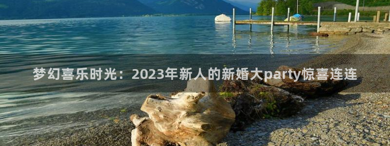高德娱乐登陆测速：梦幻喜乐时光：2023年新人的新婚大par