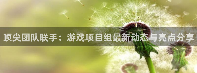 高德娱乐元7O777：顶尖团队联手：游戏项目组最新动态与亮点