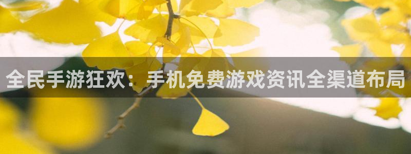 高德娱乐平台靠谱吗：全民手游狂欢：手机免费游戏资讯全渠道布局