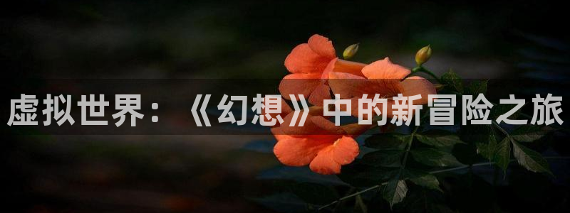 高德娱乐注册：虚拟世界：《幻想》中的新冒险之旅