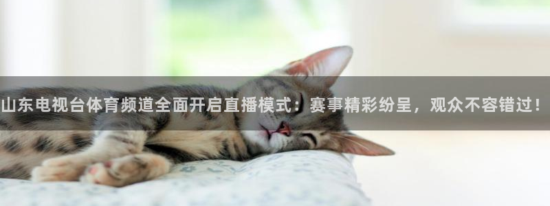 玩球体育app下载：山东电视台体育频道全面开启直播模式：赛事精彩纷呈，观众不容错过！