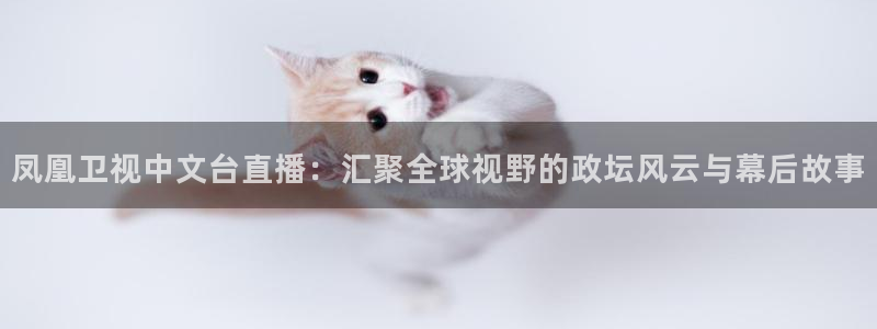 玩球直播app官网：凤凰卫视中文台直播：汇聚全球视野的政坛风云与幕后故事