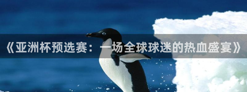 360玩球直播：《亚洲杯预选赛：一场全球球迷的热血盛宴》
