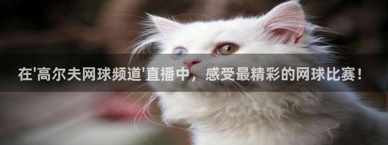 下载玩球直播：在\'高尔夫网球频道\'直播中，感受最精彩的网球比赛！