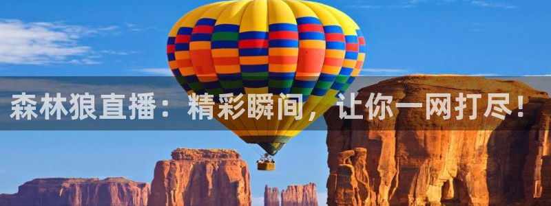 nba直播玩球：森林狼直播：精彩瞬间，让你一网打尽！