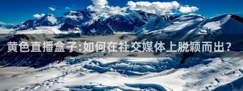 玩球直播观看：黄色直播盒子:如何在社交媒体上脱颖而出？