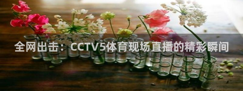 玩球直播吧：全网出击：CCTV5体育现场直播的精彩瞬间