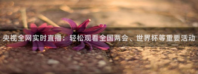 玩球球视频：央视全网实时直播：轻松观看全国两会、世界杯等重要活动