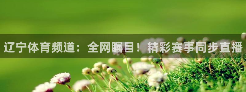 玩球直播免费高清在线：辽宁体育频道：全网瞩目！精彩赛事同步直播
