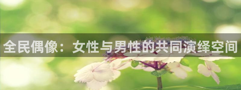 玩球直播nba在线观看免费：全民偶像：女性与男性的共同演绎空间