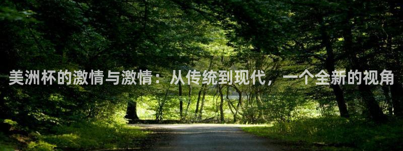 玩球直播app下载：美洲杯的激情与激情：从传统到现代，一个全新的视角
