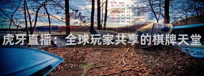 wqzb玩球直播：虎牙直播：全球玩家共享的棋牌天堂